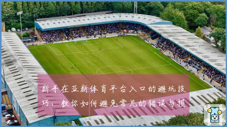 新手在亚新体育平台入口的避坑技巧，教你如何避免常见的错误与损失