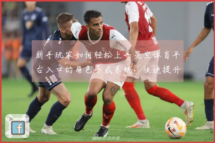 新手玩家如何轻松上手星空体育平台入口的角色养成系统，快速提升实力与乐趣